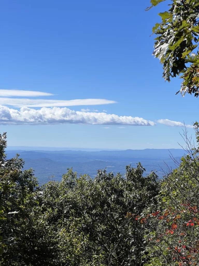 View from Springer Mountain | North Georgia Web Design by 762 Media